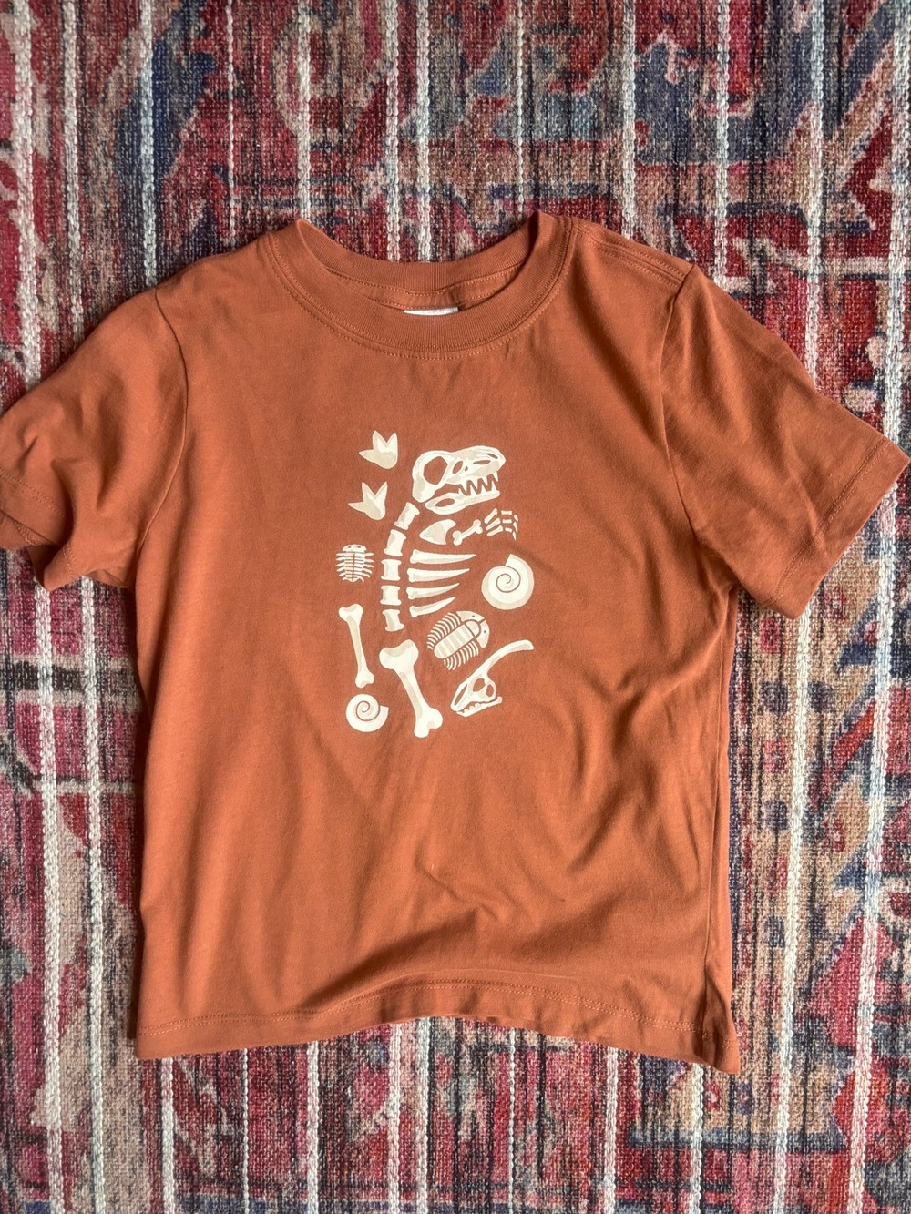 Hanna Andersson 4T Cotton Dinosaur Fossil T-Shirt